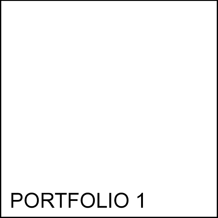 Portfolio 1